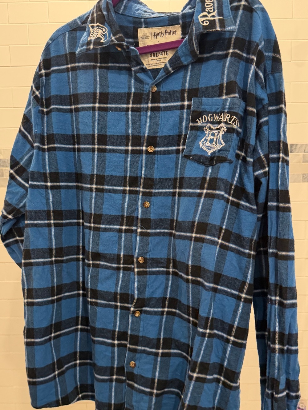 Warner Bros. Blue & Black Plaid Button-Down Shirt - Men's